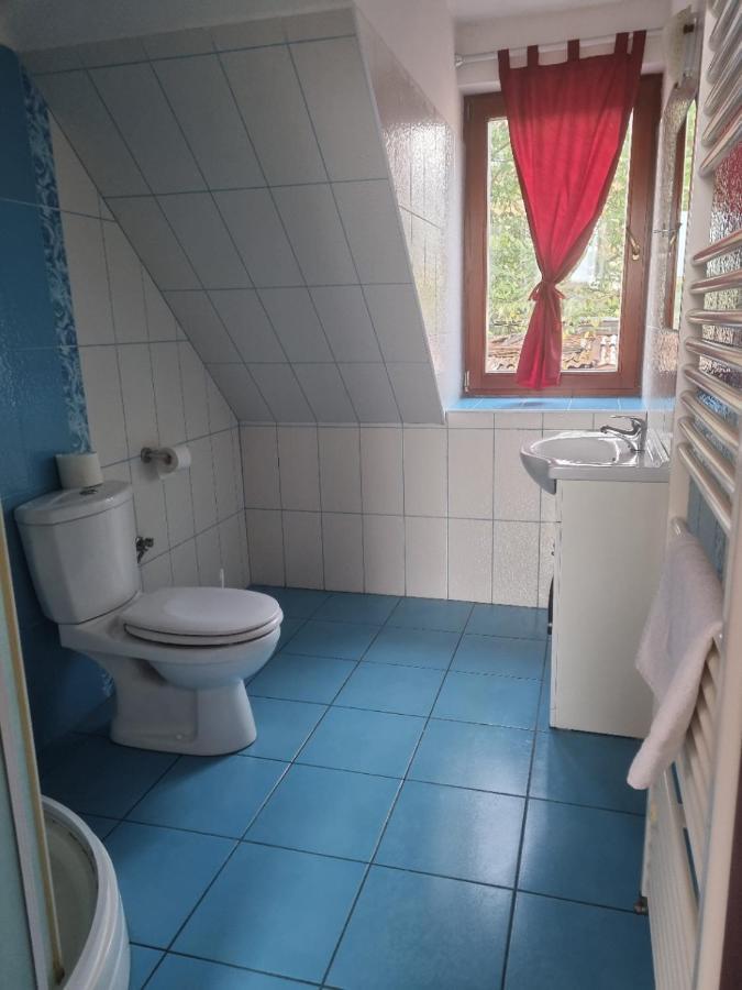 Penzion U Farmare Chotoviny Buitenkant foto